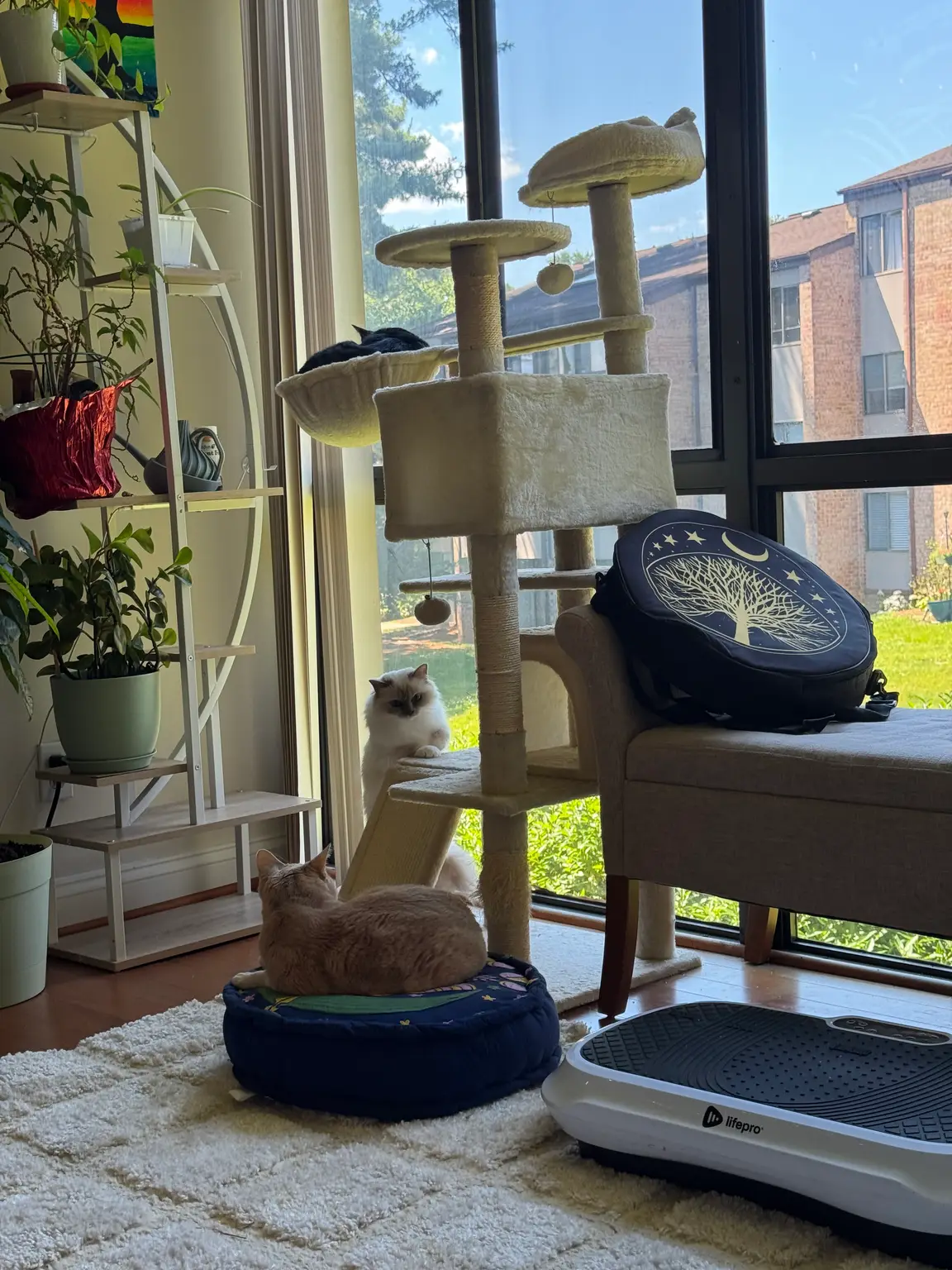 Lounging in the plant corner