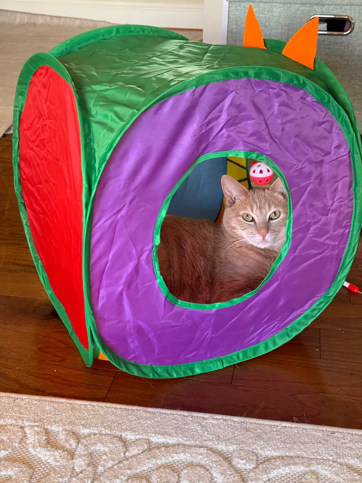 Play-tunnel adventures