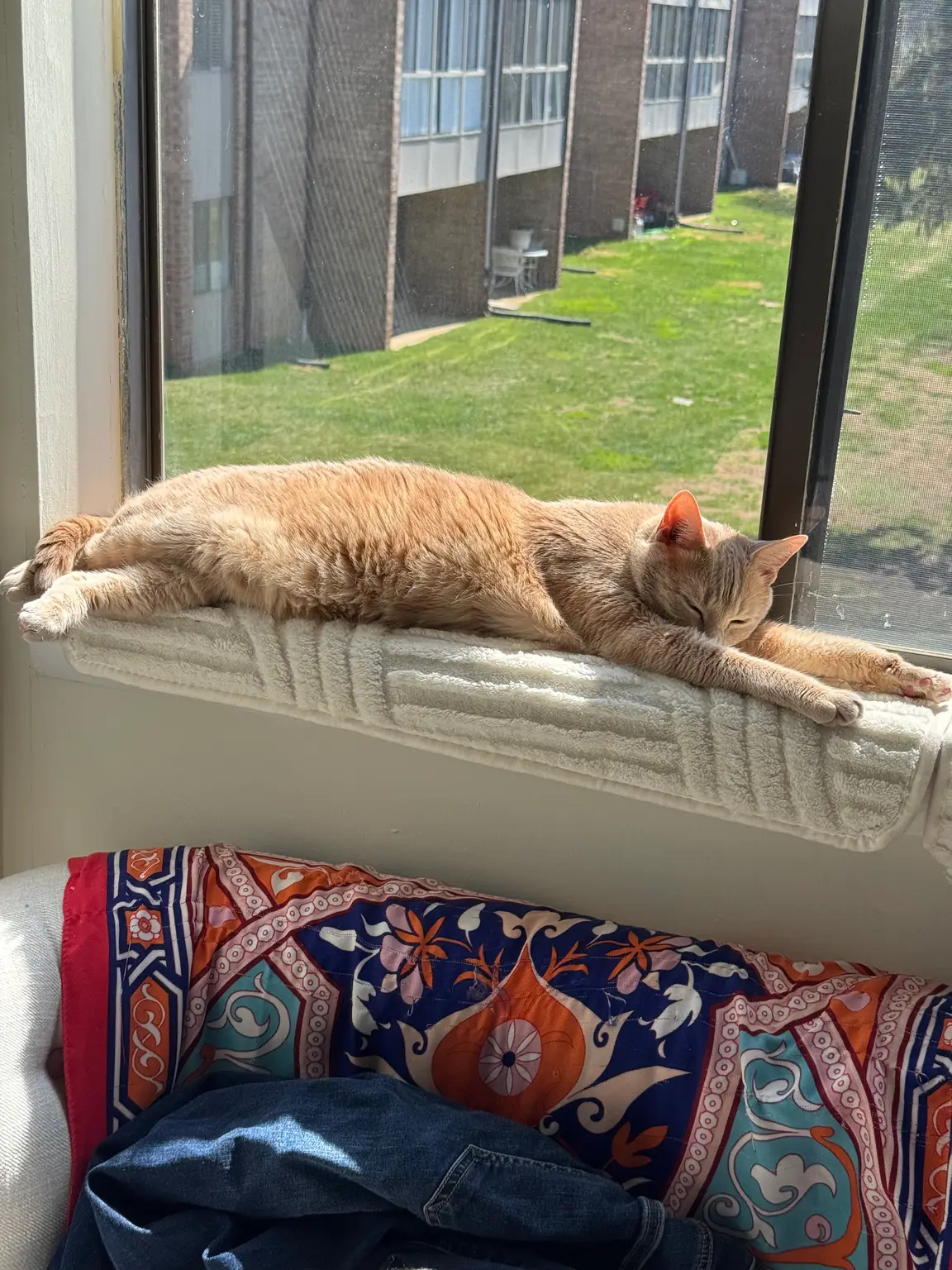 Sunny window naps