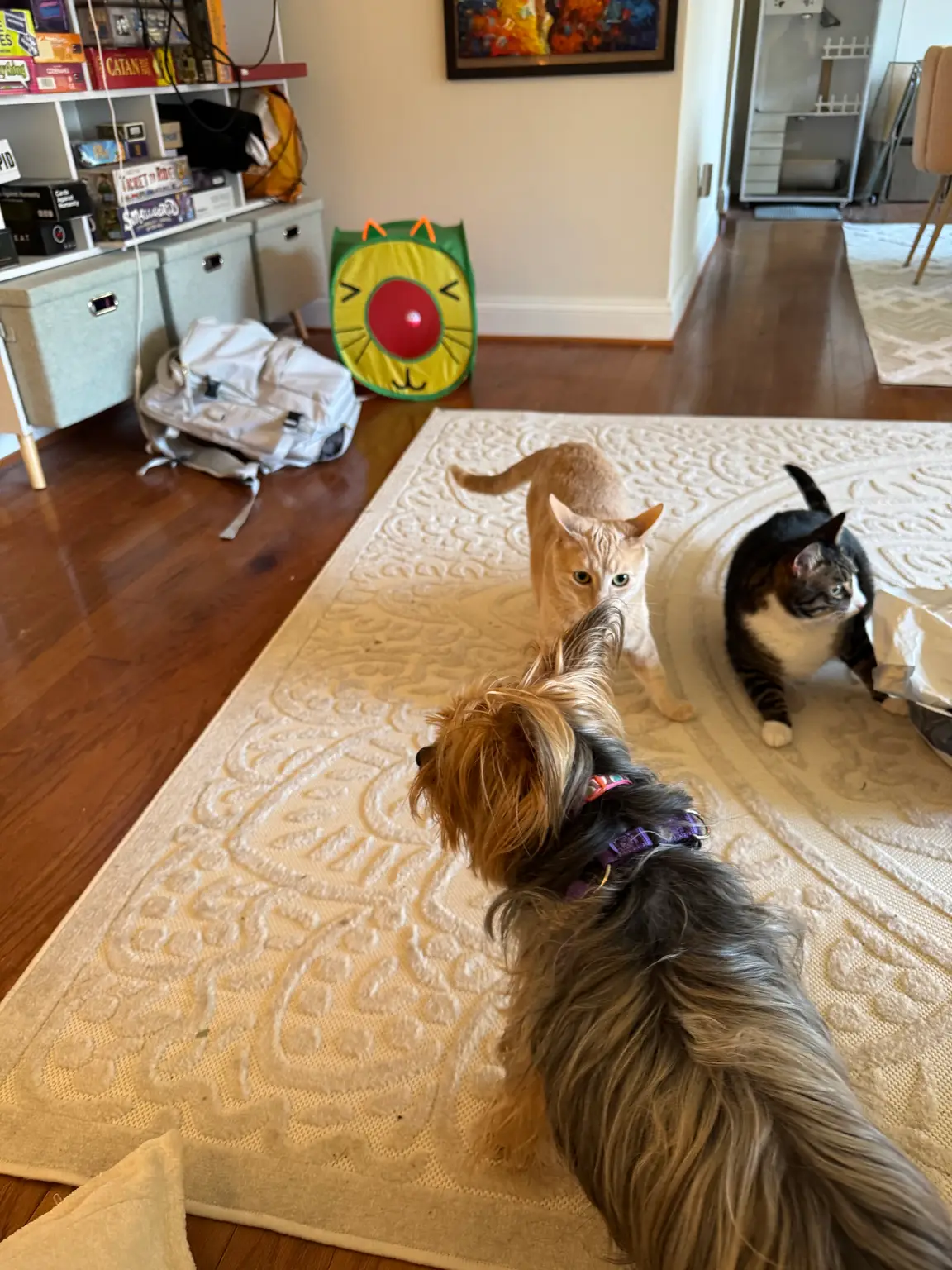 Gentle intros with Luna